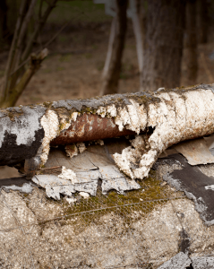 A potential Environmental Health & Safety concern: Damaged and deteriorating pipe with exposed insulation, possibly containing asbestos, situated outdoors on a concrete surface with trees in the background.
