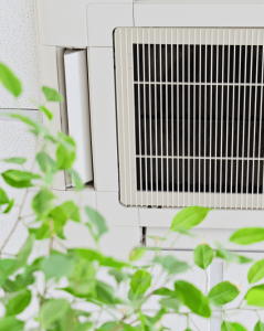 A potential Environmental Health & Safety concern: Ceiling-mounted HVAC air conditioning vent with clean, modern design, partially obscured by green indoor plant leaves in the foreground, suggesting an indoor environment focused on air quality and comfort.