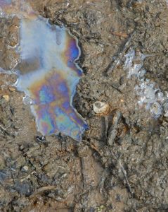 Close-up of an oil or chemical spill on wet soil, showing a rainbow-colored sheen on the surface. The surrounding ground appears muddy and contaminated, indicating potential environmental pollution.