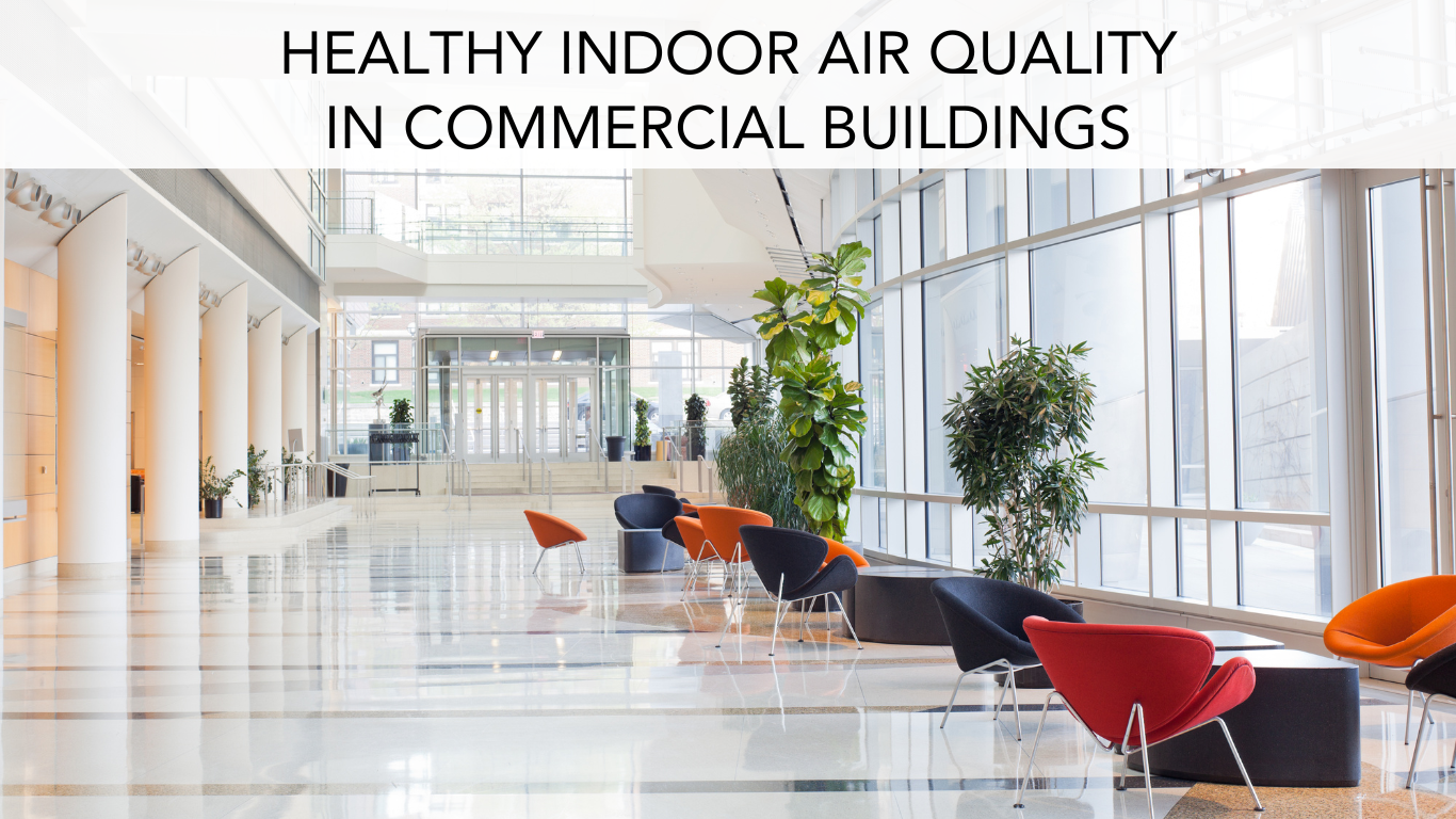 Main Floor Lobby of a Modern Commercial Building
